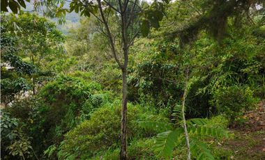 Finca en venta Titiribí Antioquia sector jardín