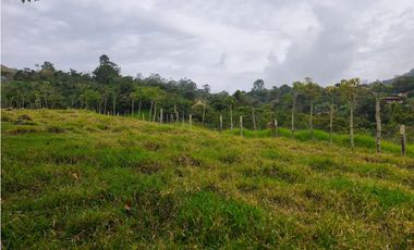 Finca en venta Titiribí Antioquia sector jardín