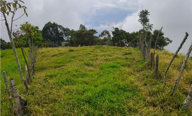 Finca en venta Titiribí Antioquia sector jardín