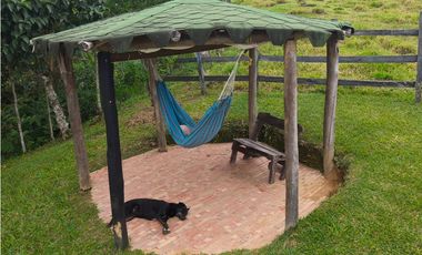 Finca en venta Titiribí Antioquia sector jardín