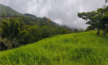 Finca en venta Titiribí Antioquia sector jardín