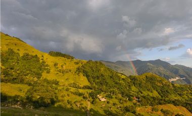 Finca en venta Titiribí Antioquia sector jardín