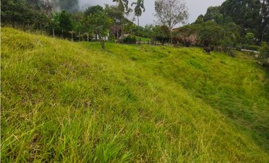 Finca en venta Titiribí Antioquia sector jardín