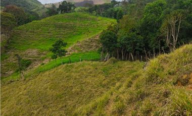 Finca en venta Titiribí Antioquia sector jardín