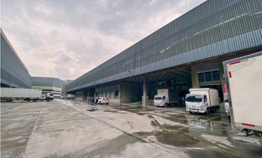 Alquiler Bodegas al Sur 9723740 DL