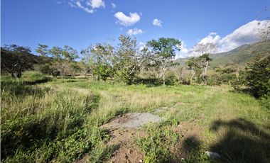 Lotes en Sopetran Topografía Plana Vereda Tafetanes