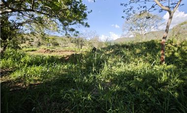 Lotes en Sopetran Topografía Plana Vereda Tafetanes