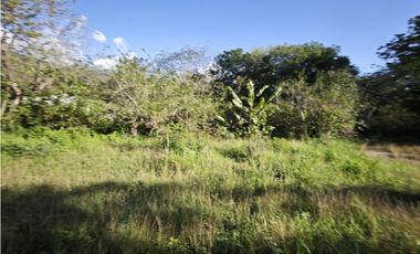 Lotes en Sopetran Topografía Plana Vereda Tafetanes