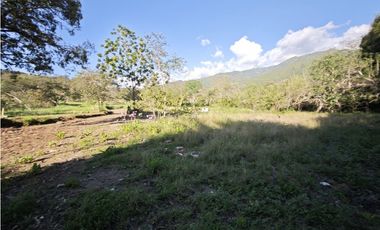 Lotes en Sopetran Topografía Plana Vereda Tafetanes