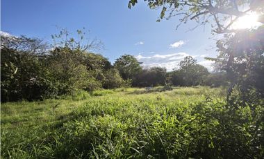 Lotes en Sopetran Topografía Plana Vereda Tafetanes