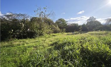 Lotes en Sopetran Topografía Plana Vereda Tafetanes