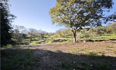 Lotes en Sopetran Topografía Plana Vereda Tafetanes