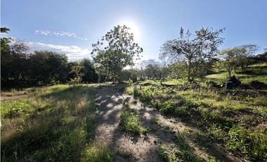 Lotes en Sopetran Topografía Plana Vereda Tafetanes