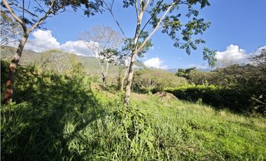 Lotes en Sopetran Topografía Plana Vereda Tafetanes