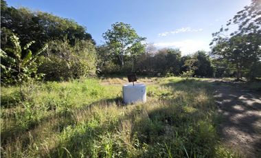Lotes en Sopetran Topografía Plana Vereda Tafetanes