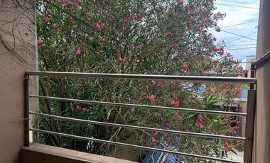 Departamento Alquiler  en Rincon de Milberg