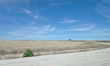 TERRENO INDUSTRIAL EN VENTA ENCARNACION DIAZ, JALISCO