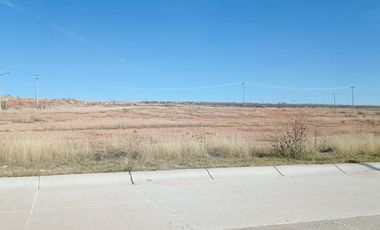 TERRENO INDUSTRIAL EN VENTA ENCARNACION DIAZ, JALISCO