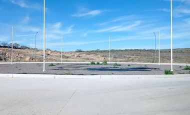 TERRENO INDUSTRIAL EN VENTA ENCARNACION DIAZ, JALISCO