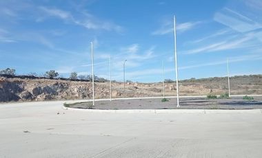 TERRENO INDUSTRIAL EN VENTA ENCARNACION DIAZ, JALISCO