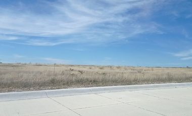 TERRENO INDUSTRIAL EN VENTA ENCARNACION DIAZ, JALISCO