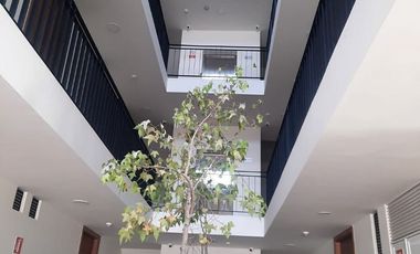 DEPARTAMENTO EN RENTA EN CIUDAD GRANJA CEDROS