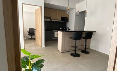 DEPARTAMENTO EN RENTA  WE SOLARES