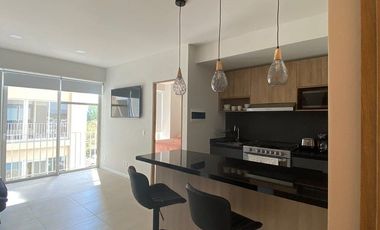 DEPARTAMENTO EN RENTA  WE SOLARES