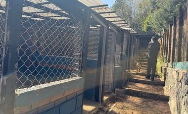 Terreno en Renta Adaptado Para Hotel de Perros