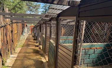 Terreno en Renta Adaptado Para Hotel de Perros