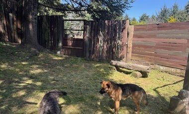 Terreno en Renta Adaptado Para Hotel de Perros