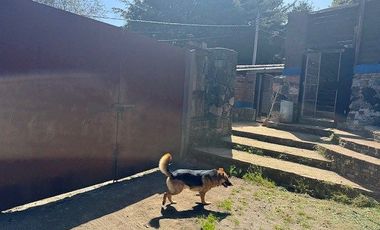 Terreno en Renta Adaptado Para Hotel de Perros