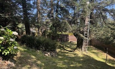 Terreno en Renta Adaptado Para Hotel de Perros