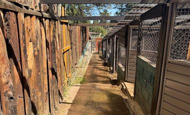 Terreno en Renta Adaptado Para Hotel de Perros