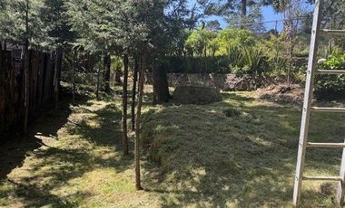 Terreno en Renta Adaptado Para Hotel de Perros