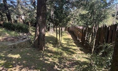 Terreno en Renta Adaptado Para Hotel de Perros