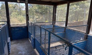Terreno en Renta Adaptado Para Hotel de Perros