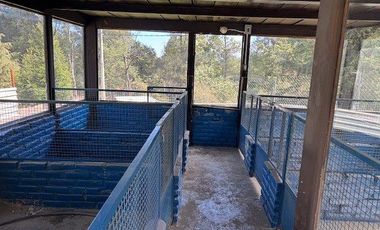 Terreno en Renta Adaptado Para Hotel de Perros