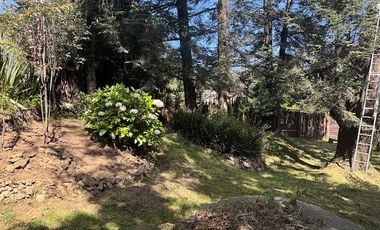 Terreno en Renta Adaptado Para Hotel de Perros