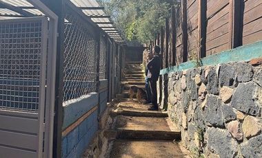 Terreno en Renta Adaptado Para Hotel de Perros