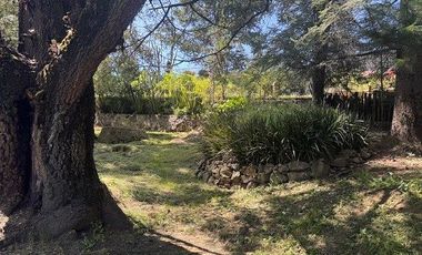 Terreno en Renta Adaptado Para Hotel de Perros