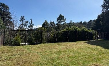 Terreno en Renta Adaptado Para Hotel de Perros