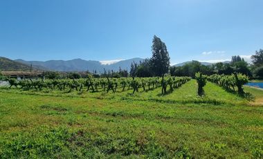 ISLA DE MAIPO/ZUÑIGA
