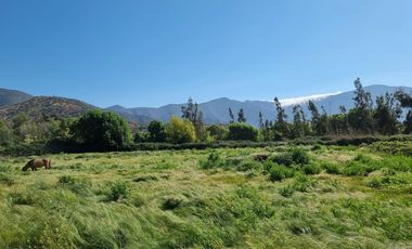 ISLA DE MAIPO/ZUÑIGA
