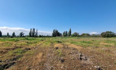 ISLA DE MAIPO/ZUÑIGA