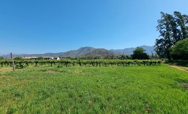 ISLA DE MAIPO/ZUÑIGA