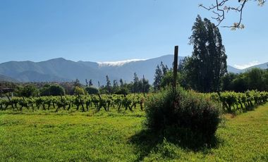 ISLA DE MAIPO/ZUÑIGA