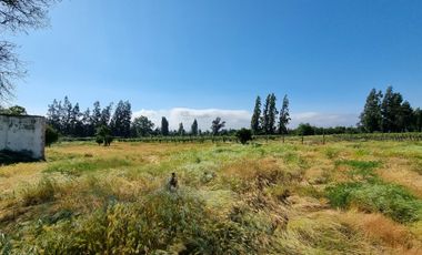 ISLA DE MAIPO/ZUÑIGA