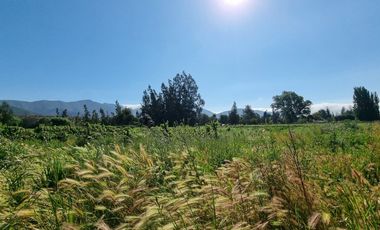ISLA DE MAIPO/ZUÑIGA