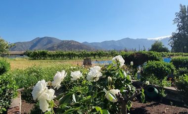 ISLA DE MAIPO/ZUÑIGA